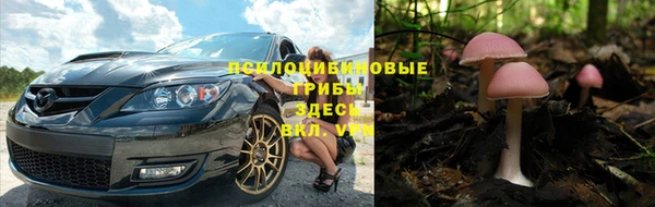 apvp Навашино